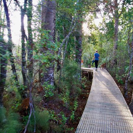 Sapphire Springs Holiday Park And Thermal Pools Katikati Eksteriør bilde